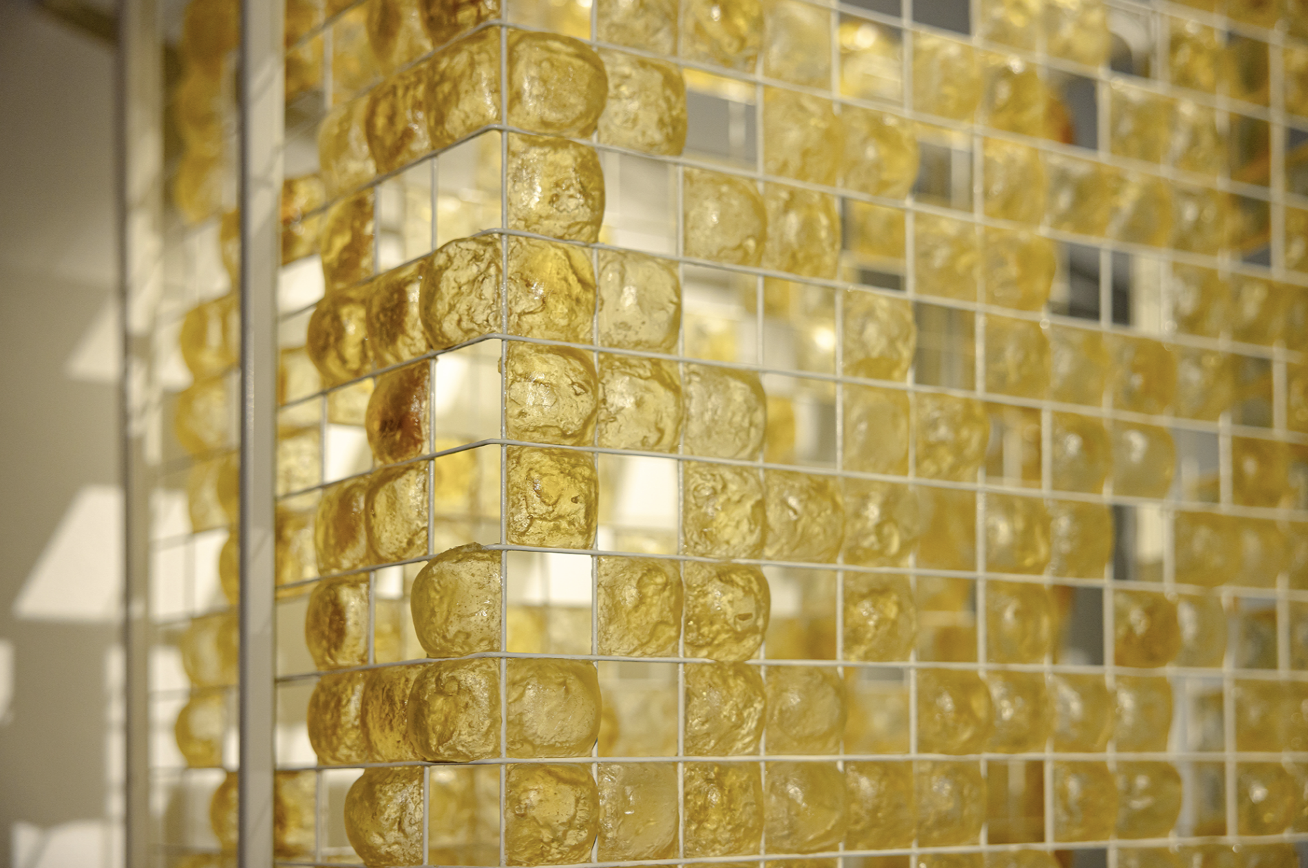 截圖 2026-01-07 12.10.16